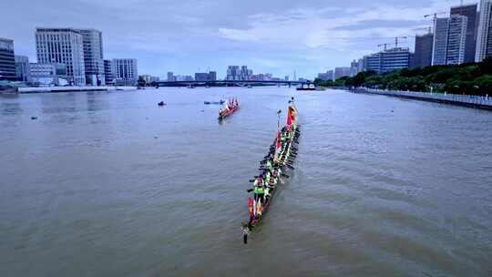 端午广州金沙洲珠江江面龙船龙舟竞赛航拍