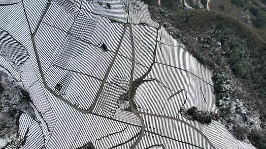 大自然寒潮冬天下雪的村庄田野航拍风景