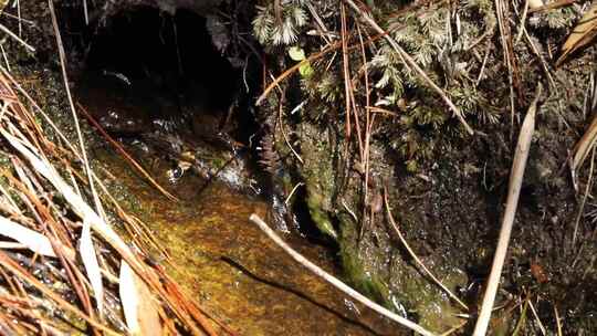 J浙江温州苍南玉苍山流水4K实拍视频1