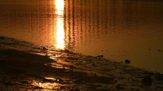 东莞东江大桥夕阳下波光粼粼的水面