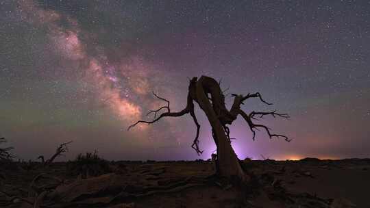 内蒙额济纳怪树林星空夏季银河延时