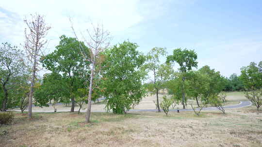 武汉江夏区黄家湖湿地公园