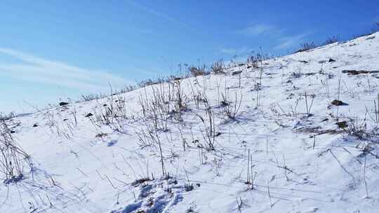 冬季内蒙古乌兰布统蓝天白云雪景航拍