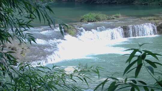 绿叶 河流 碧绿水面 水流 小河 7810