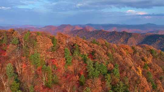 4K秋天色彩五花山光雾山秋景风光自然新疆