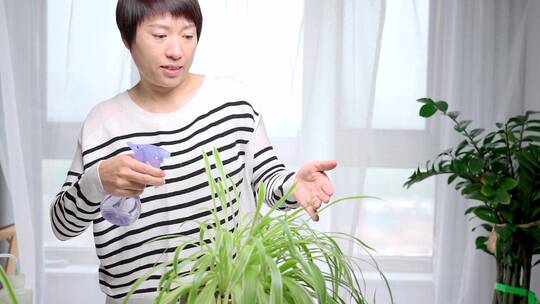 在家修剪花草的中国女性形象视频素材模板下载