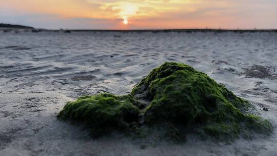 夕阳下的海边