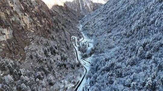 被雪覆盖的山林间蜿蜒的道路