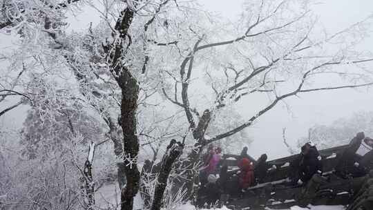 湖北武当山景区冬天大雪雾凇古建筑旅游