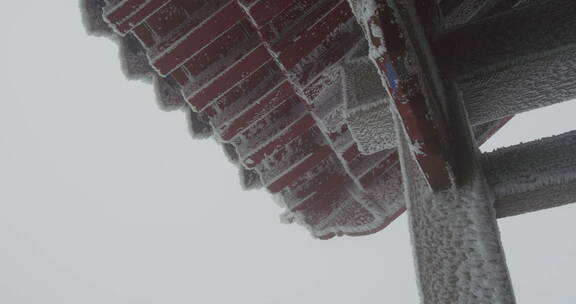 山东泰山风景区雪景下雪