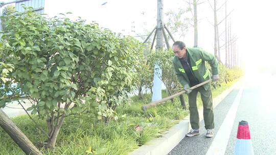 城市绿化园林园艺道路绿化