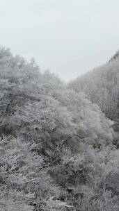 高清竖屏航拍桂林资源雾凇雪景