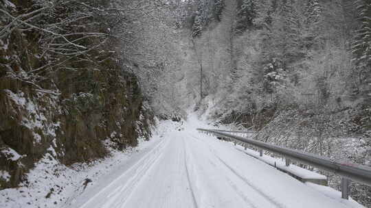 雪路穿过树林