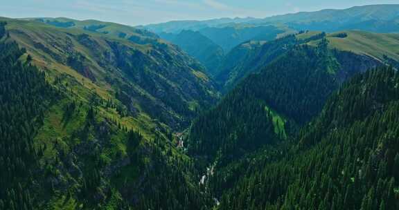 绿色的高山峡谷