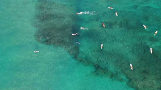 海上冲浪者海浪