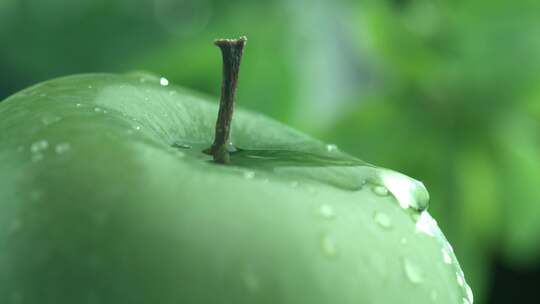 青苹果淋水 洗苹果