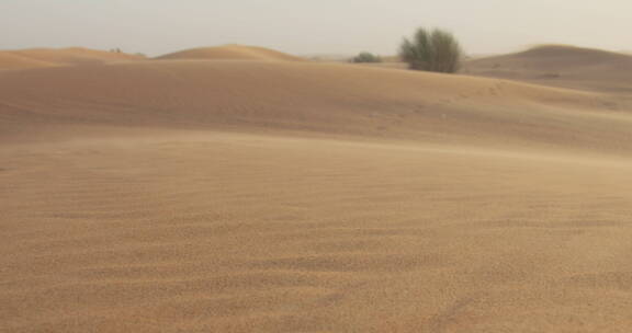 威风吹过沙丘景观