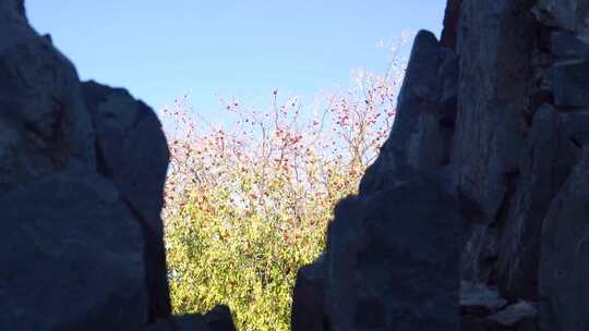 假山 人造景观 石头 花岗岩 山石 特写视频素材模板下载