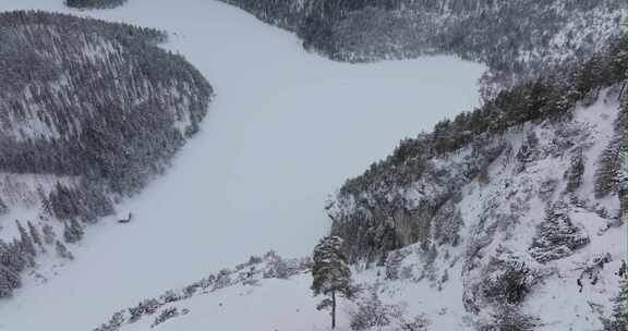 雪，山脉，奥地利，冰冻