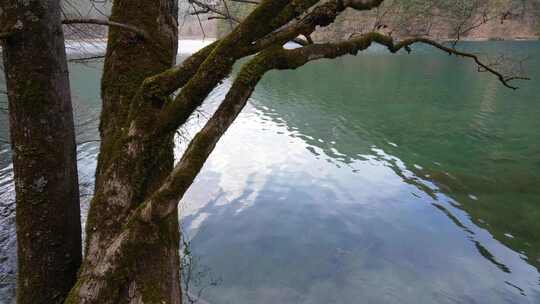 四川阿坝州九寨沟冬日山水