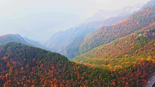 三峡红叶