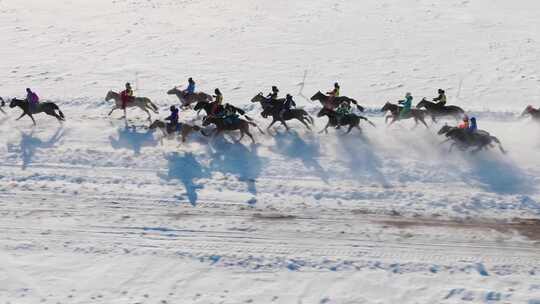 【10条合集】雪原上的蒙古马-44