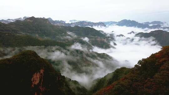 王屋山云海延时3