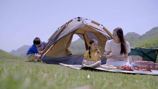 快乐的一家四口在郊区野餐视频素材模板下载