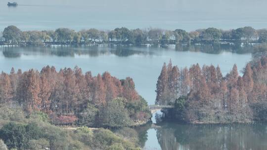 杭州西湖秋天航拍