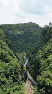 竖版航拍大山山谷公路