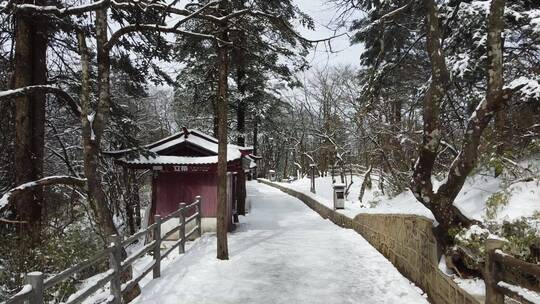 航拍佛教名山四川峨眉山，云海缭绕树林白雪