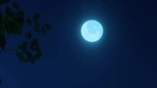 月亮海边升起 夜晚的月亮