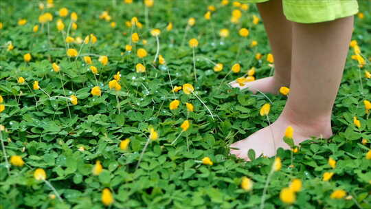 小孩在黄花草地上奔跑