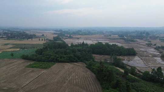 乡村振兴、土地小麦、成都平原