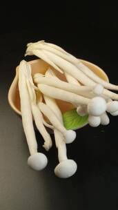 营养海鲜菇白玉菇