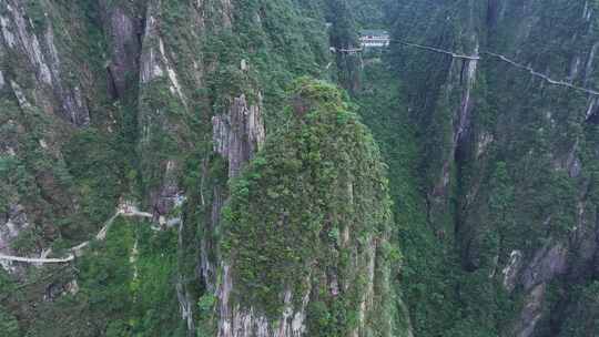 中国湖南省郴州市宜章县莽山五指峰景区