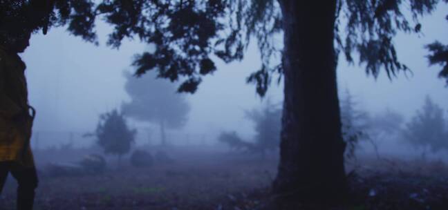 雾气弥漫的森林女孩走到大树下