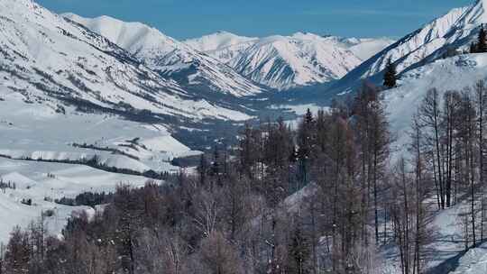 新疆冬季旅游 禾木冬天 村庄 禾木雪景