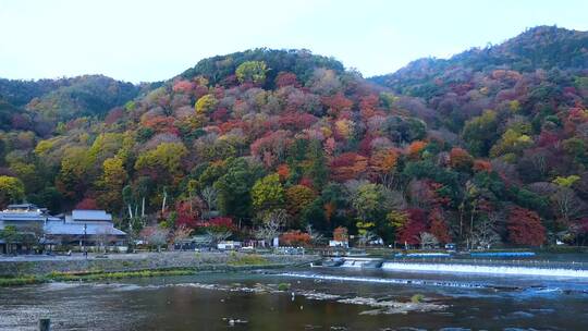 日本岚山风景