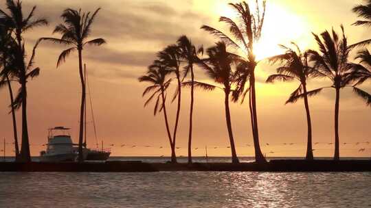 夕阳海边棕榈树海面波光粼粼