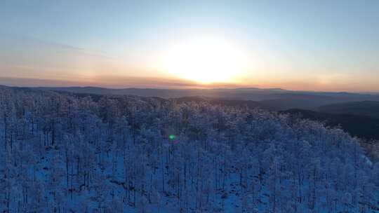 航拍大兴安岭冬季雪色山林晨曦