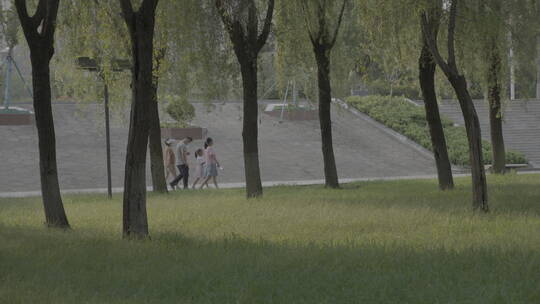 【4K】FX3拍摄公园行人视频素材模板下载