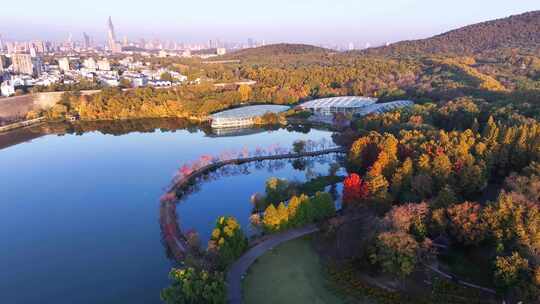 南京秋天 前湖公园 秋天 植物博物馆