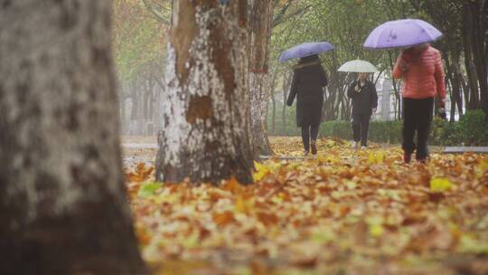 深秋雨天落叶行人