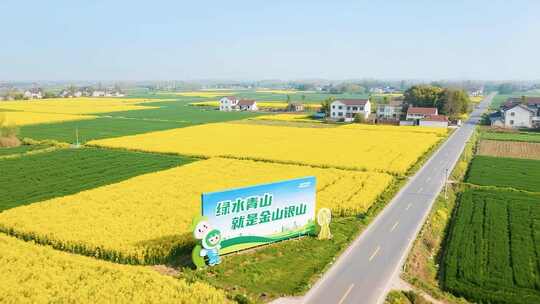 田野油菜花乡村公路航拍