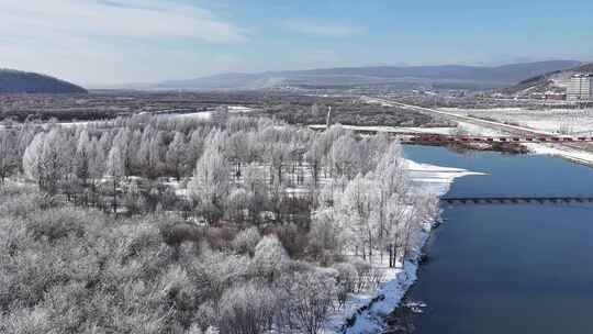 雪原不冻河雾凇20241024 (4)