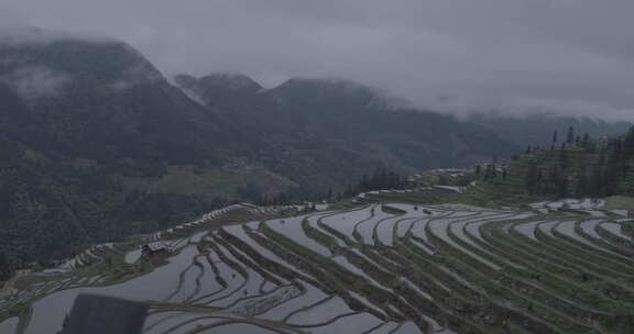 贵州加榜梯田风光