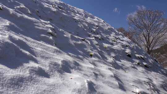 冬天雪地