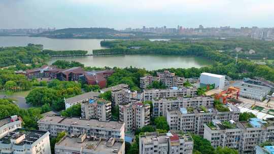 湖北武汉东湖听涛景区航拍自然风光生态旅游