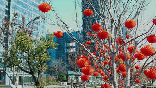 余杭未来城城市公园树上的红灯笼